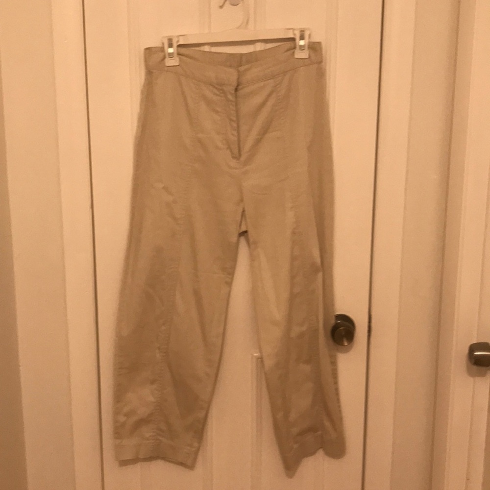 Goodclothes khaki pants size 10